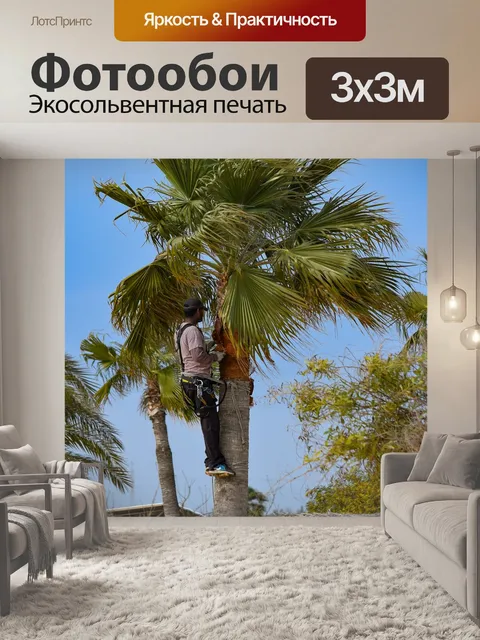 Фотообои Обрезка