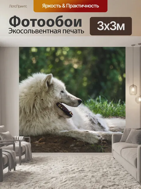 Фотообои Волк