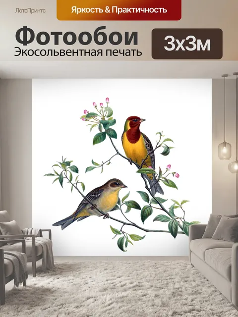 Фотообои Птицы Винтаж Овсянка Искусство