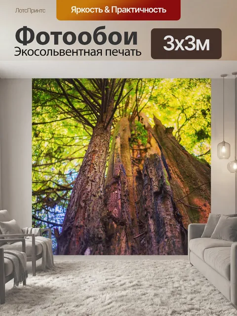 Фотообои Деревья