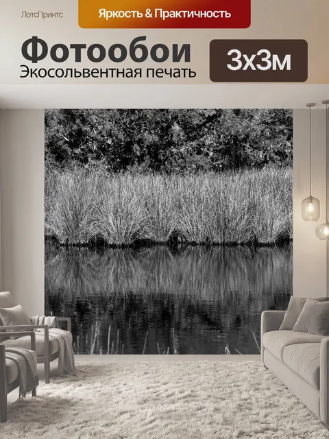 Фотообои Флоридское болото