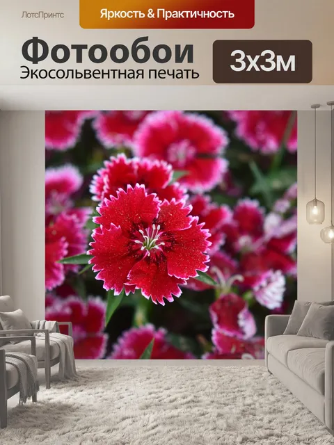Фотообои Весенняя цветочная выставка 11