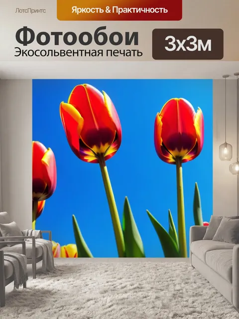 Фотообои яркие тюльпаны на фоне синего неба