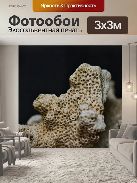 Фотообои Коралл
