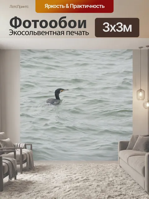 Фотообои Баклан в воде