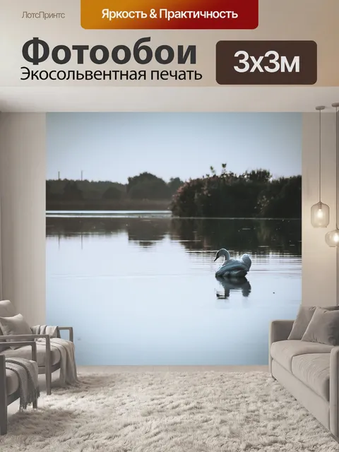 Фотообои Лебедь