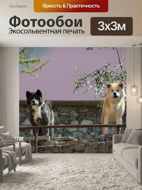Фотообои Собаки