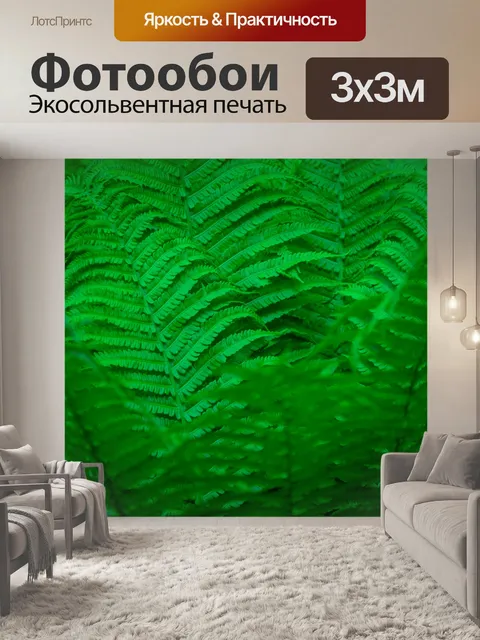 Фотообои Зеленый папоротник фон