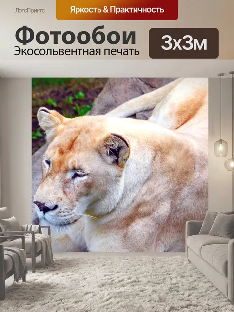 Фотообои Лев