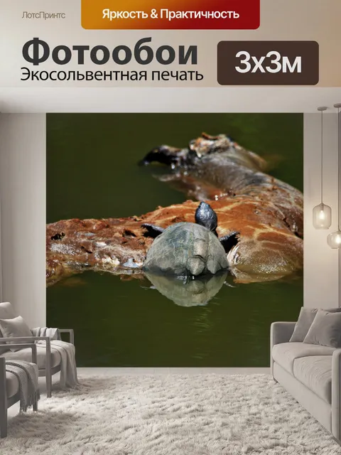 Фотообои черепаха восхождение на туши