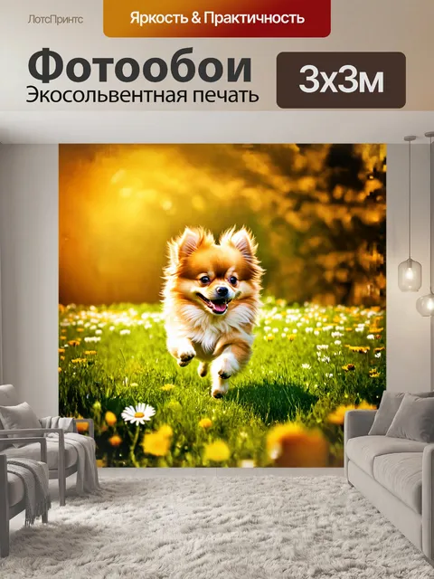 Фотообои **русский**: маленький померанский шпиц с широкой улыбкой бежит по зелёному лугу