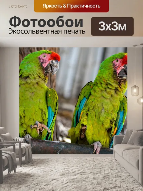 Фотообои Птицы