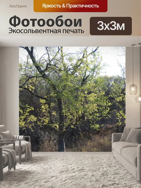 Фотообои дерево с молодыми листьями