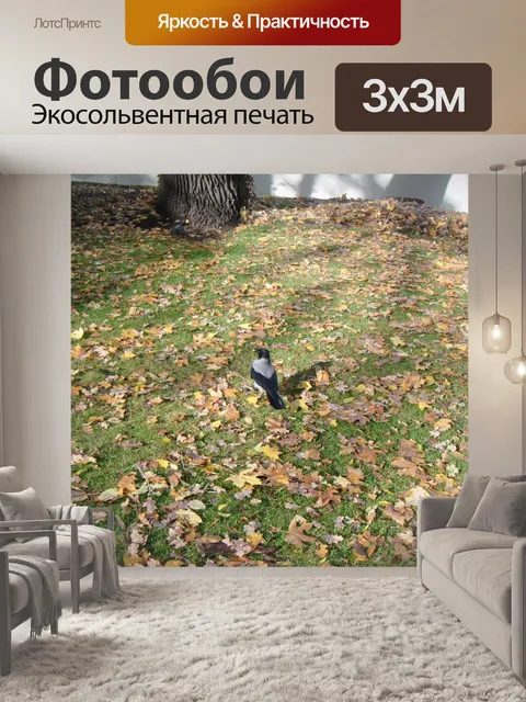 Фотообои Серая ворона
