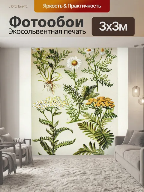 Фотообои Цветочная иллюстрация полевых цветов ста