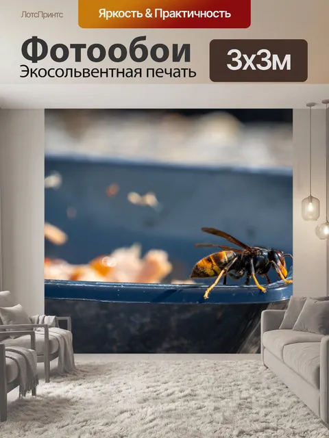 Фотообои Оса, крылатое насекомое