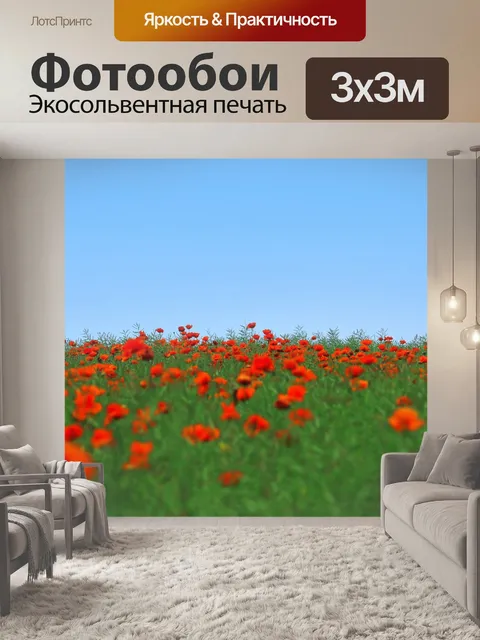 Фотообои Маки поле небо пейзаж