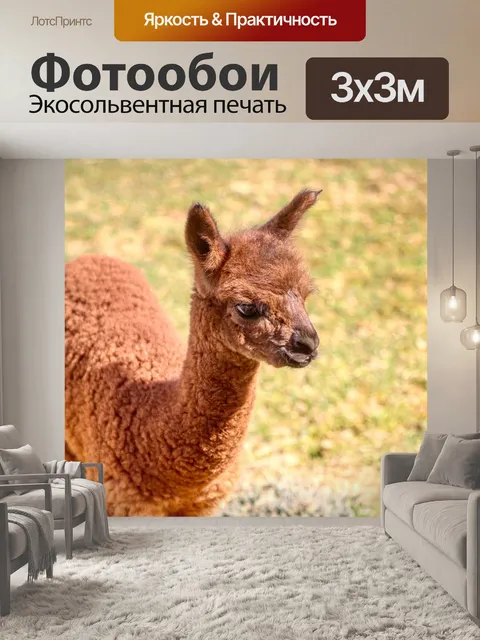 Фотообои Альпака