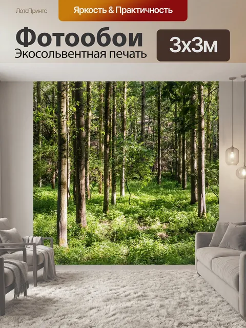 Фотообои Тополиная роща