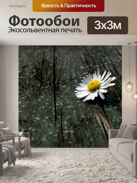 Фотообои Ромашка на дерево