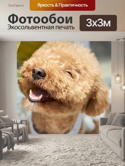 Фотообои Собака