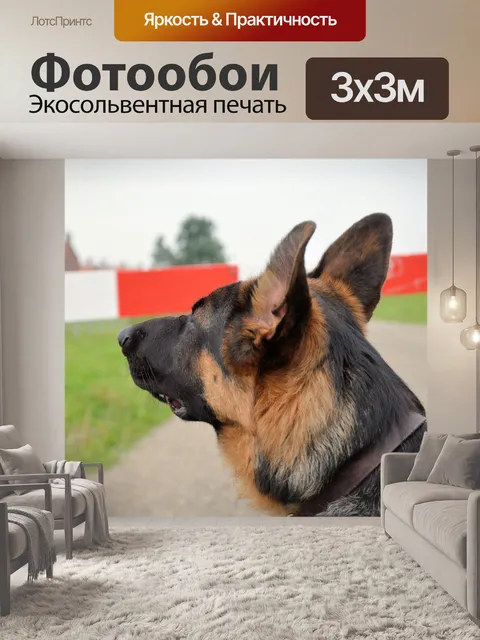 Фотообои Собаки 2.4