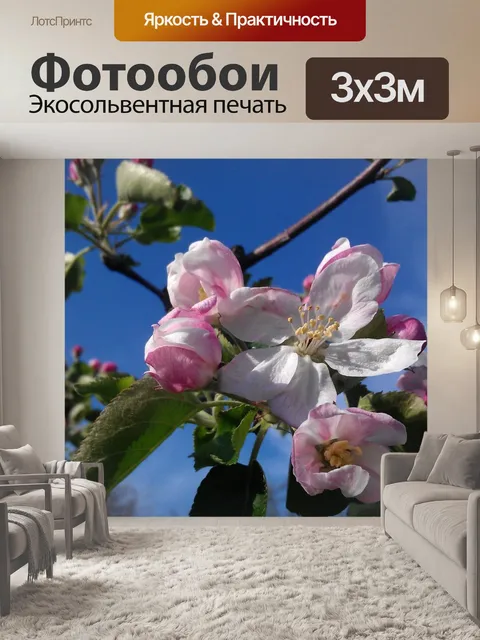 Фотообои Яблоневый цвет