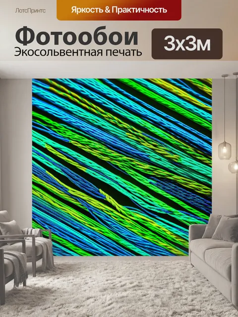 Фотообои текстуры различных рыболовных лесок под микроскопом