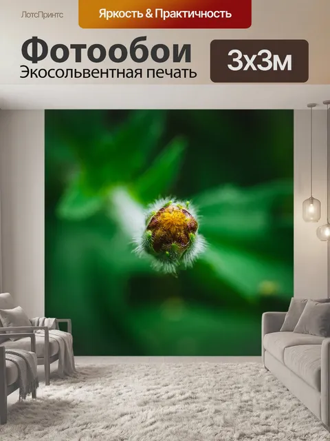 Фотообои Цветочный