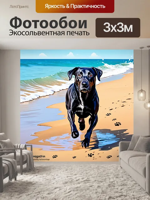 Фотообои чёрный лабрадор ретривер