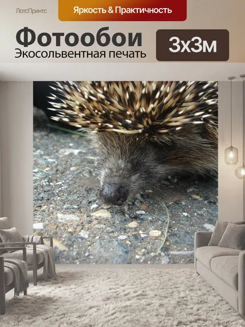 Фотообои Ежик