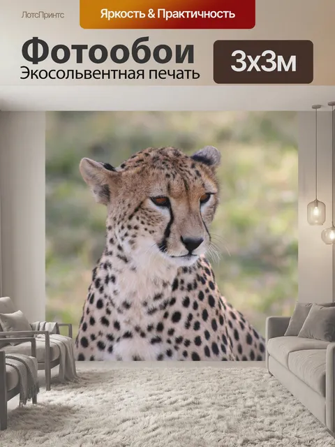 Фотообои Гепард