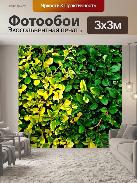 Фотообои Живая изгородь