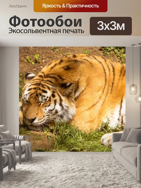 Фотообои тигр расслабляющий