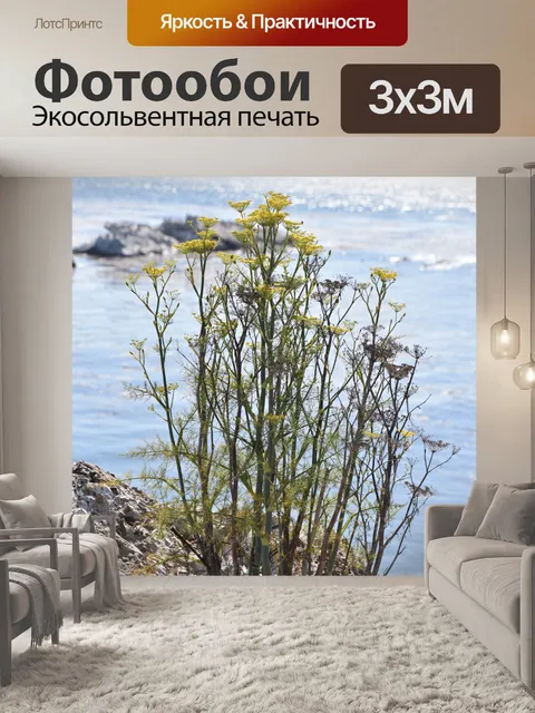 Фотообои Береговые цветы в желтом