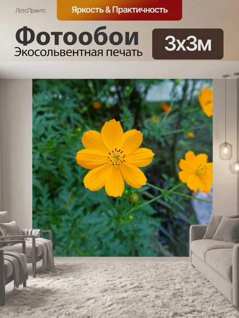 Фотообои Космос