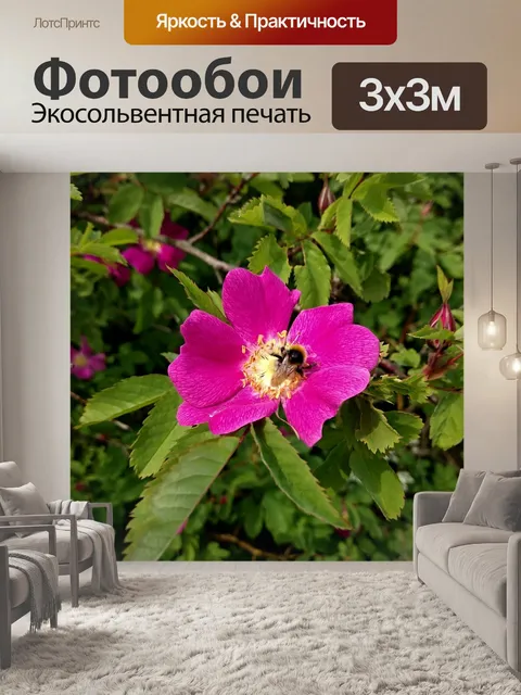Фотообои Шиповник