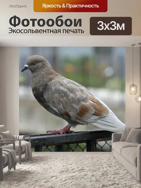 Фотообои Голуби