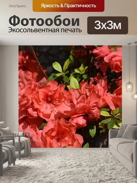Фотообои Оранжевый азалия