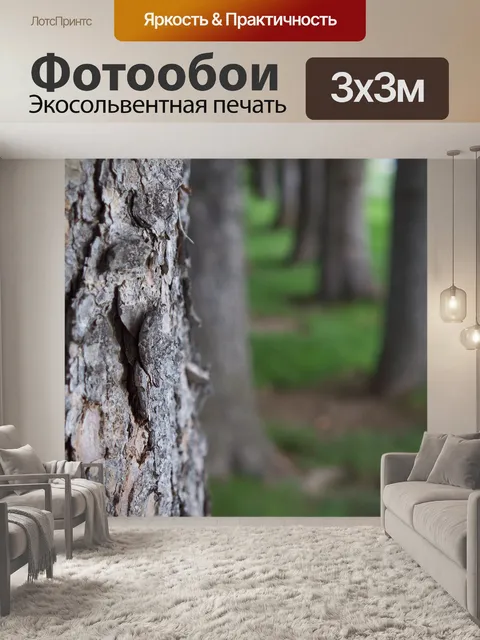 Фотообои Сосны