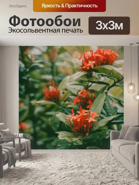 Фотообои Цветок