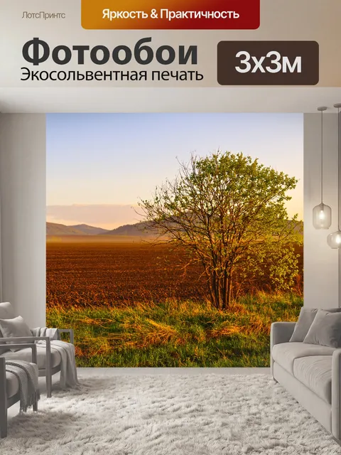 Фотообои Поле и дерево на закате