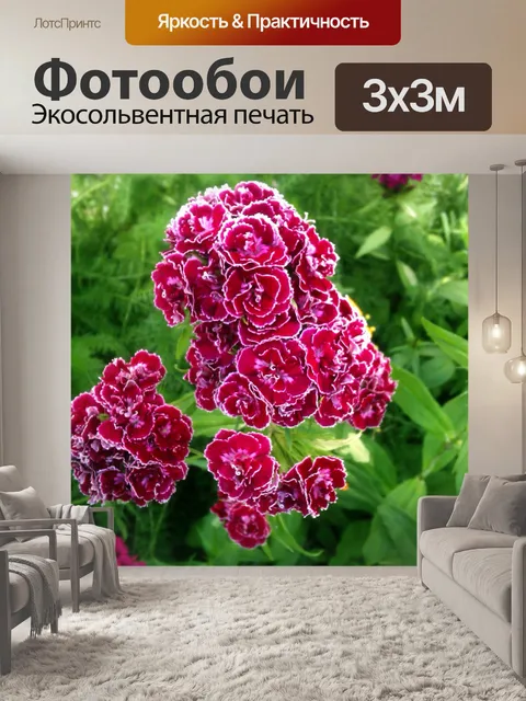 Фотообои Вьющиеся цветы