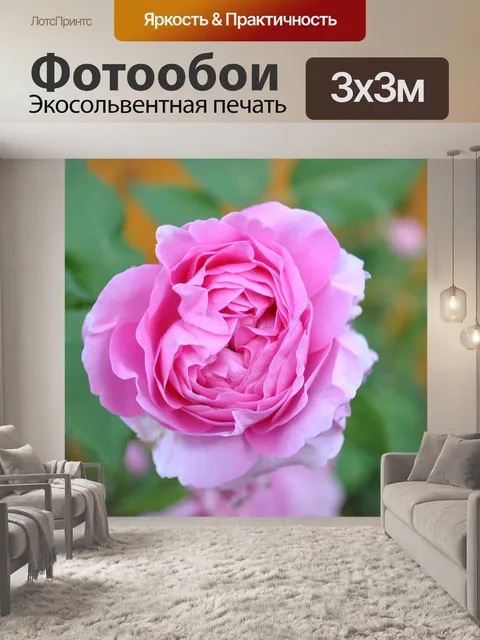 Фотообои Деревня польша