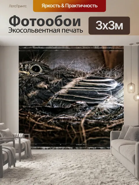 Фотообои Птица