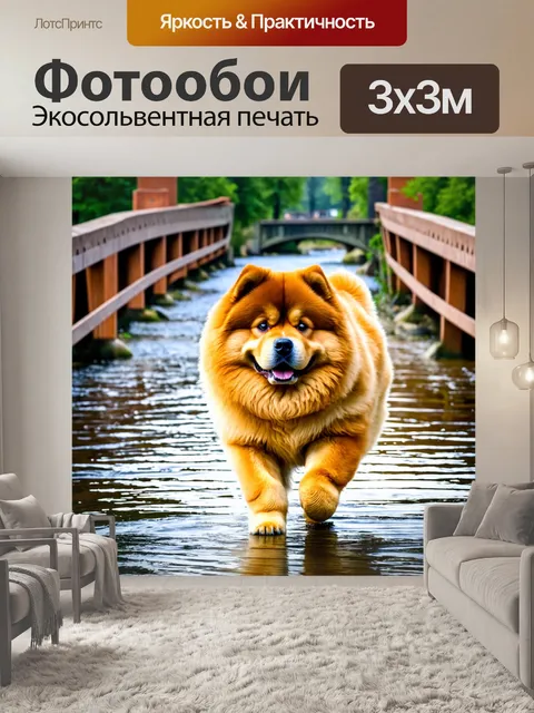 Фотообои чау-чау на прогулке по живописному мосту над рекой, с отражением в воде