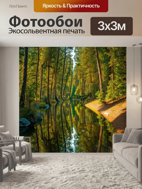 Фотообои лесная тропа вдоль озера, с отражениями деревьев в воде