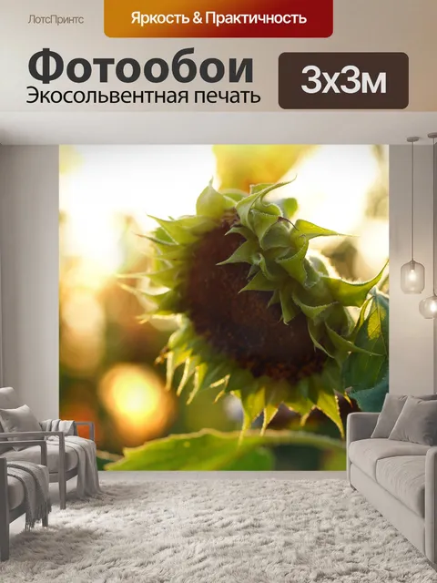 Фотообои Подсолнух цвести цветок осень