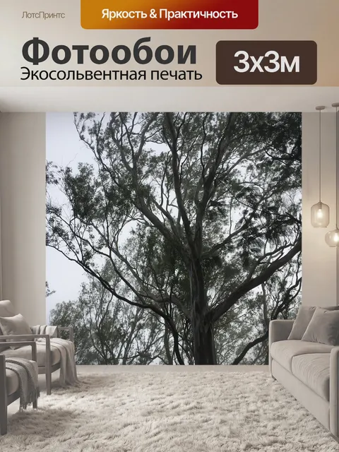 Фотообои Дерево