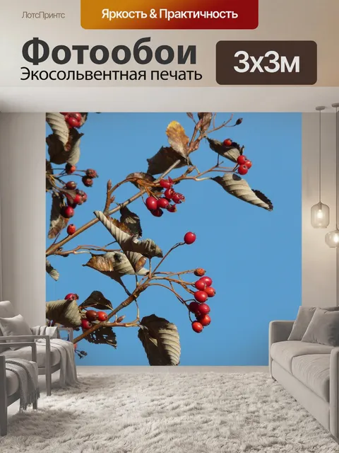 Фотообои Ягода